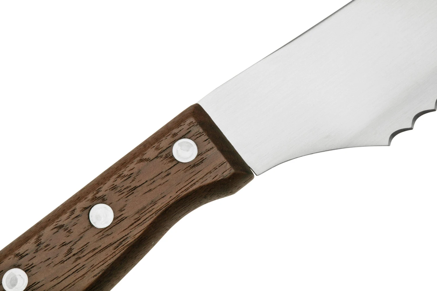 Eden Pankiri Japanese Cuchillo Para Pan 27 Cm - Imagen 5