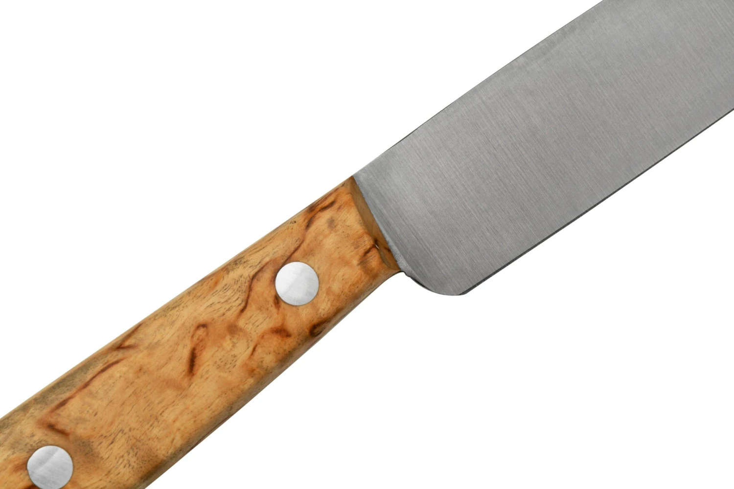 Otter Tafel Curly Birch Cuchillo De Mesa De Acero Inoxidable 12,5 Cm - Imagen 5